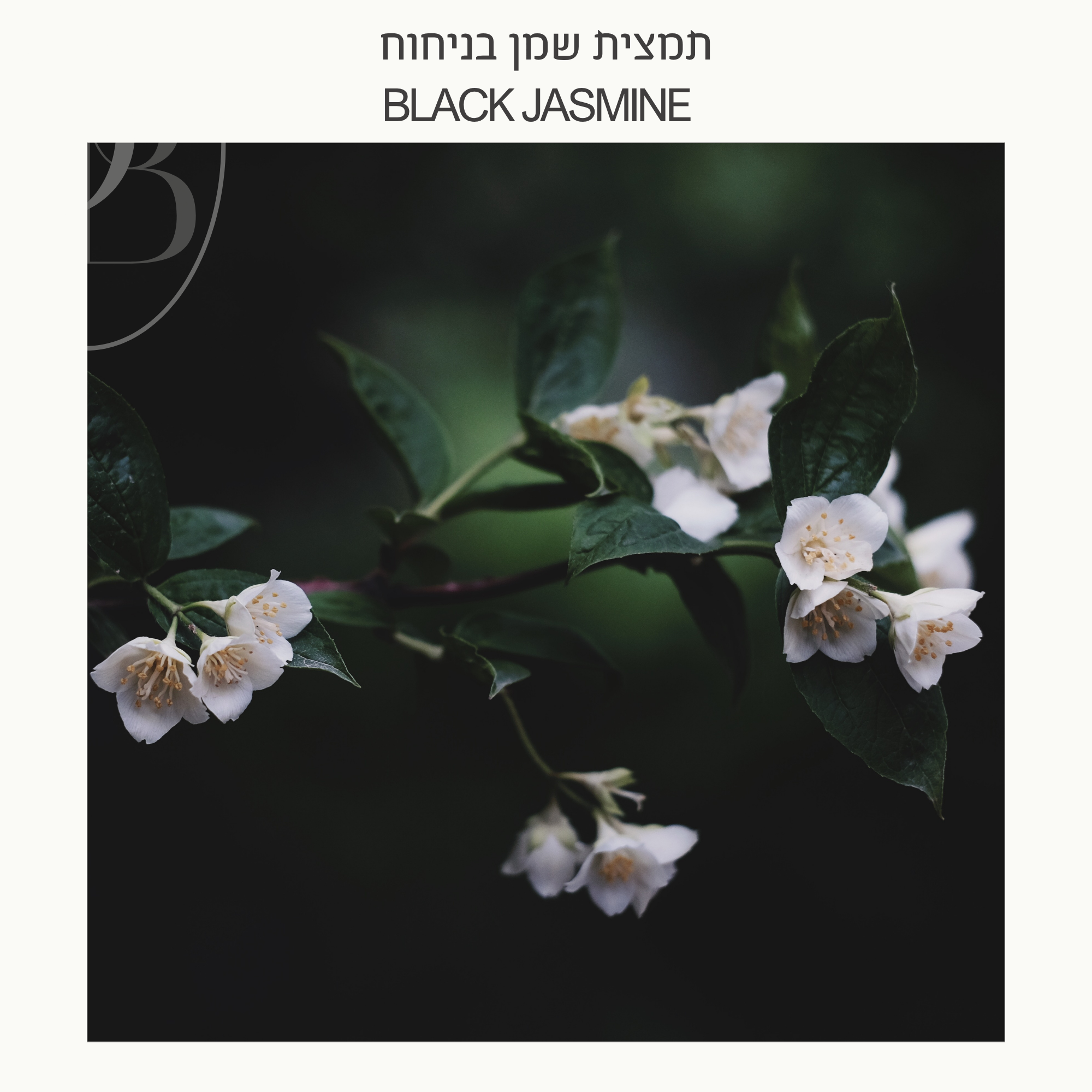 חצי ליטר תמצית שמן בניחוח בלאק יסמין